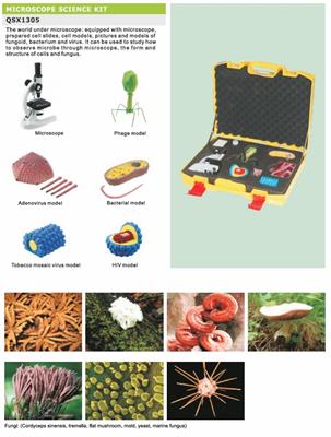 Kit di studio al microscopio