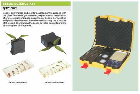 Kit di studio sui semi