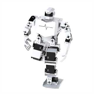 Robot umanoide con microcontrollore H5S