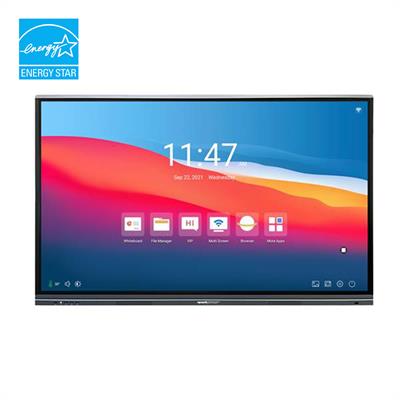 Monitor multi-touch 75 4K, S.O. Android 9