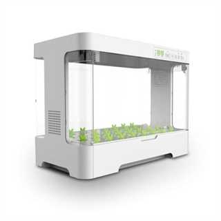 Sistema di coltivazione idroponica desk smart box