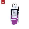 Misuratore portatile pH, ORP, Ioni, calibrazione 1-5punti, conserva fino a 500 dati, connessione USB, DC 5V opzionale